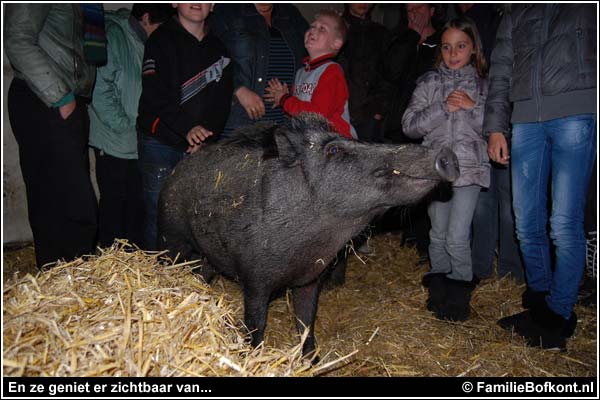 Familie Bofkont