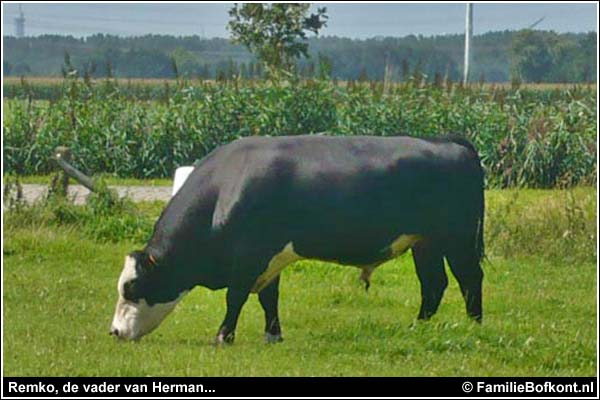 Familie Bofkont