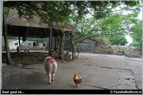 Familie Bofkont