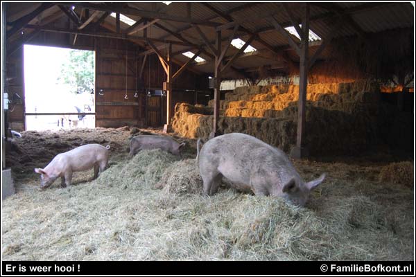 Familie Bofkont