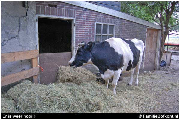 Familie Bofkont