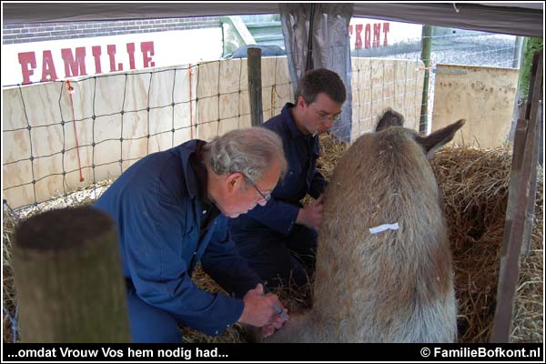 Familie Bofkont