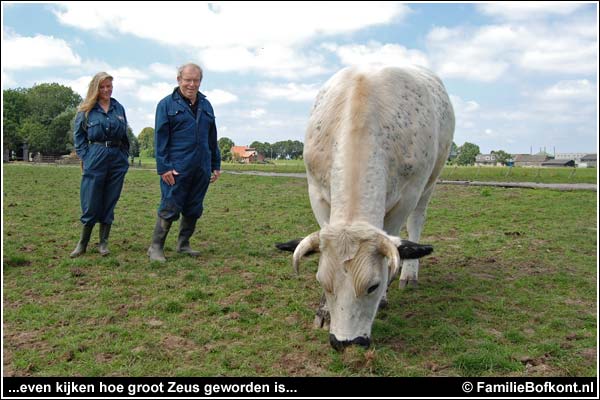 Familie Bofkont