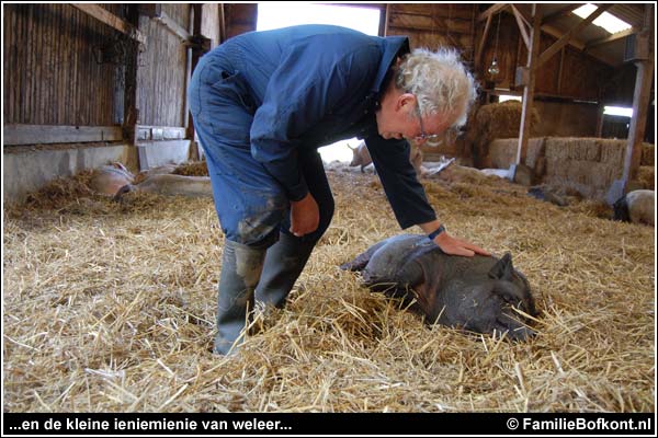 Familie Bofkont