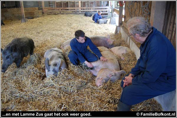 Familie Bofkont