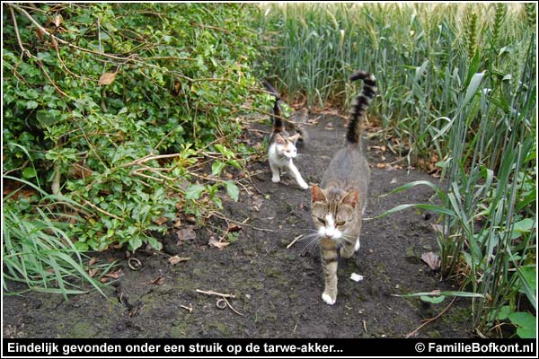 Familie Bofkont