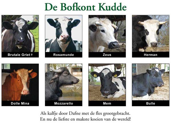 Familie Bofkont