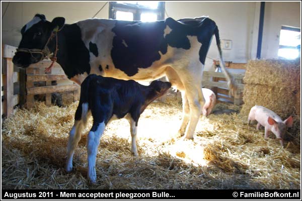 Familie Bofkont