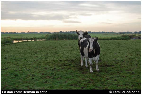 Familie Bofkont