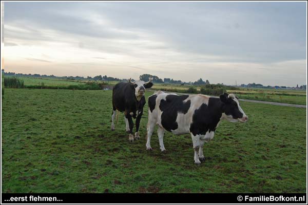 Familie Bofkont