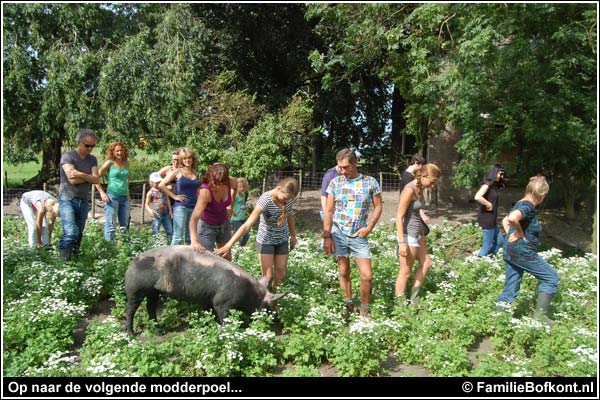 Familie Bofkont