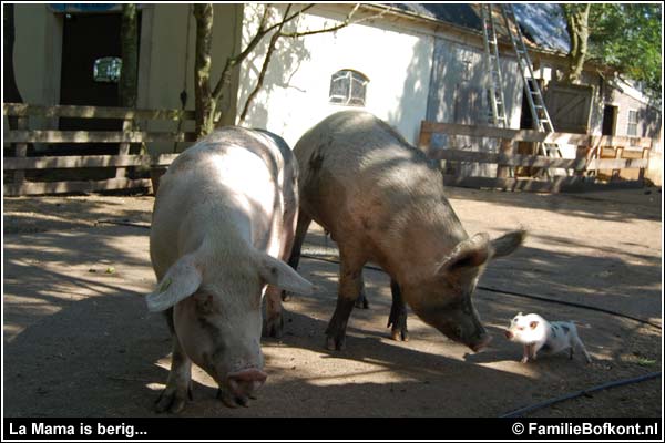 Familie Bofkont