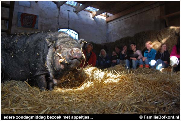 Familie Bofkont