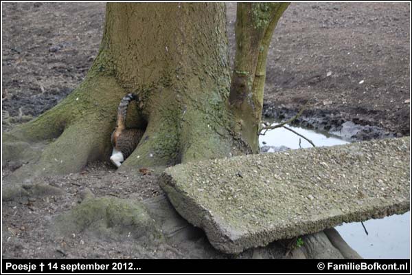 Familie Bofkont