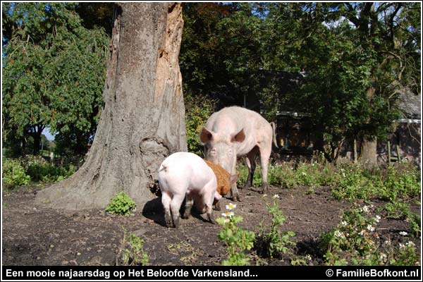 Familie Bofkont