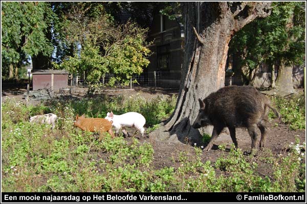 Familie Bofkont