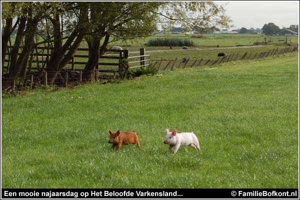 Familie Bofkont