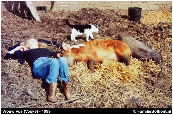 Familie Bofkont