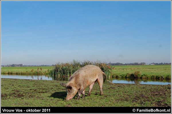 Familie Bofkont