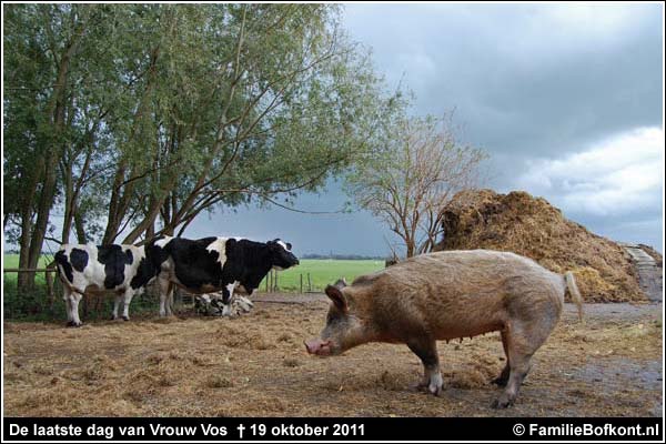 Familie Bofkont