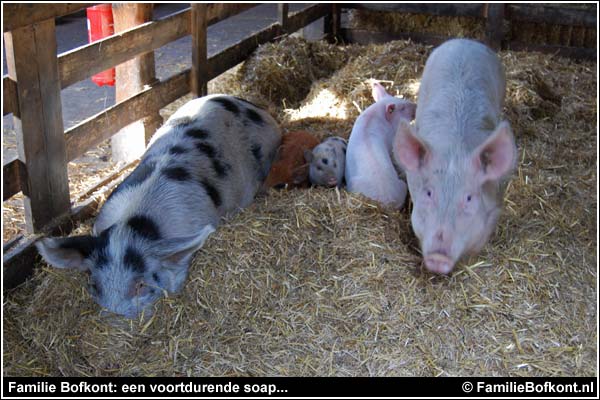 Familie Bofkont