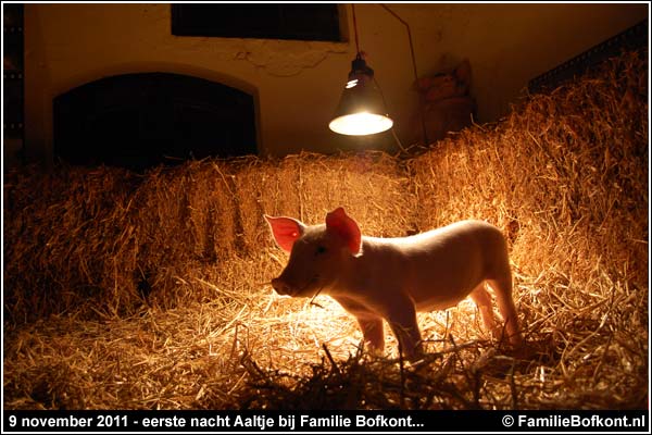 Familie Bofkont