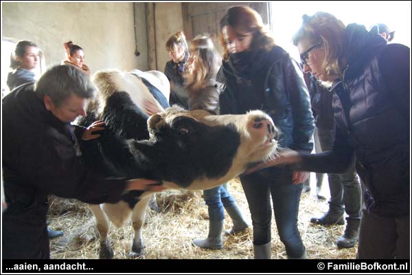 Familie Bofkont