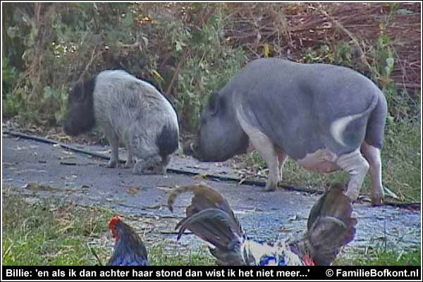 Familie Bofkont