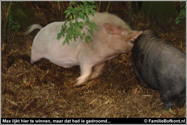 Familie Bofkont