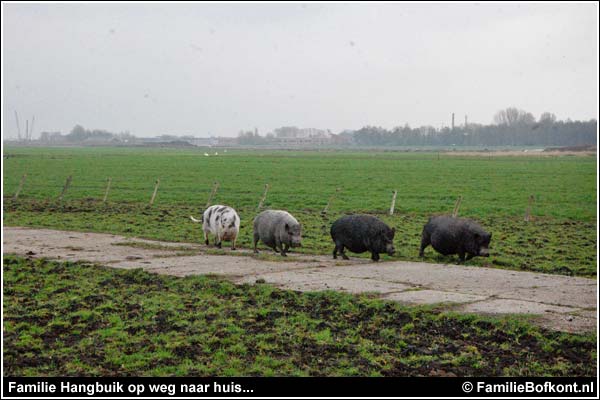 Familie Bofkont