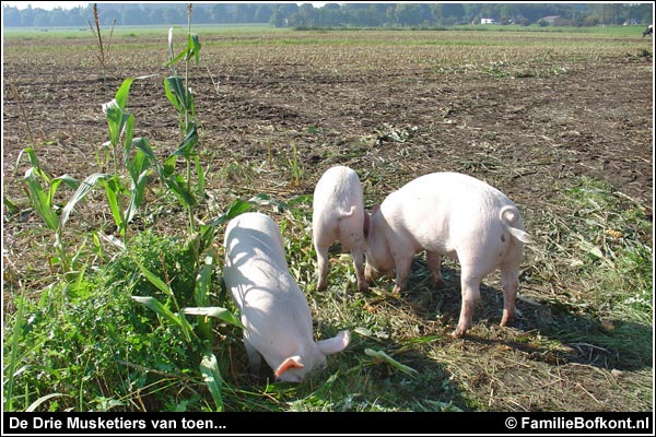 Familie Bofkont