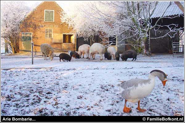 Familie Bofkont