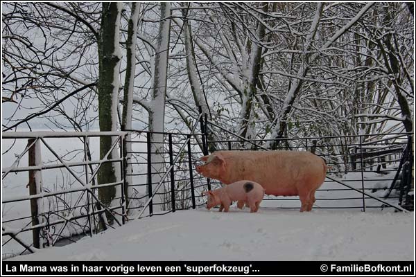 Familie Bofkont