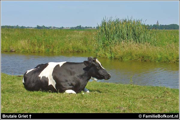 Familie Bofkont